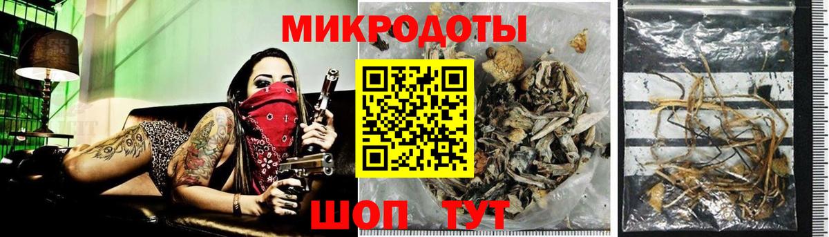 Псилоцибиновые грибы MAGIC MUSHROOMS Бердск